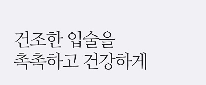 Apple Lip Oil - 13 Types - Applecranberry