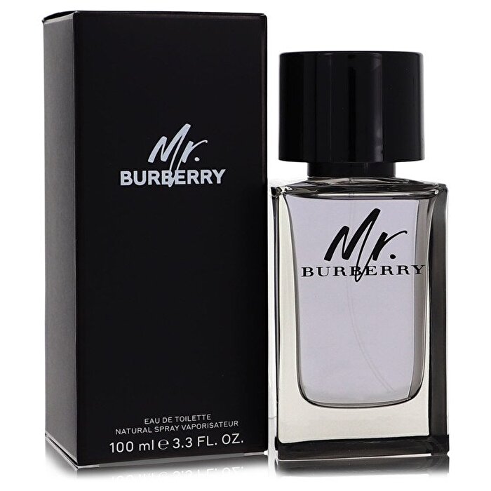 Burberry Mr Burberry Eau De Toilette Spray 100ml/3.4oz